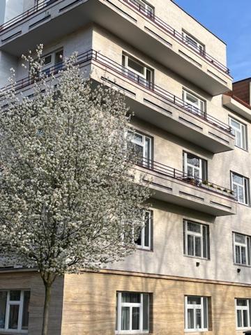 Apartma V Srdci Podebrad 포데브라디 외부 사진